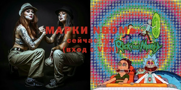PSILOCYBIN Верея