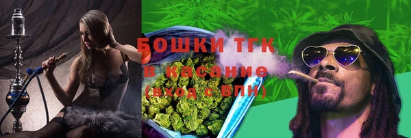 PSILOCYBIN Верея